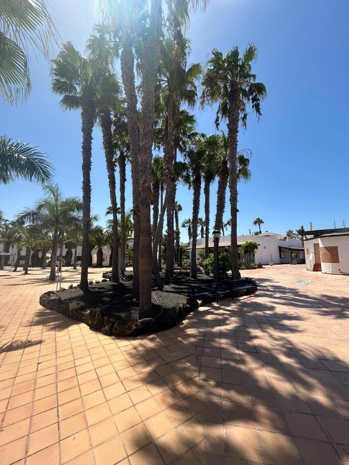 Apartamentos Gala Corralejo Exterior photo